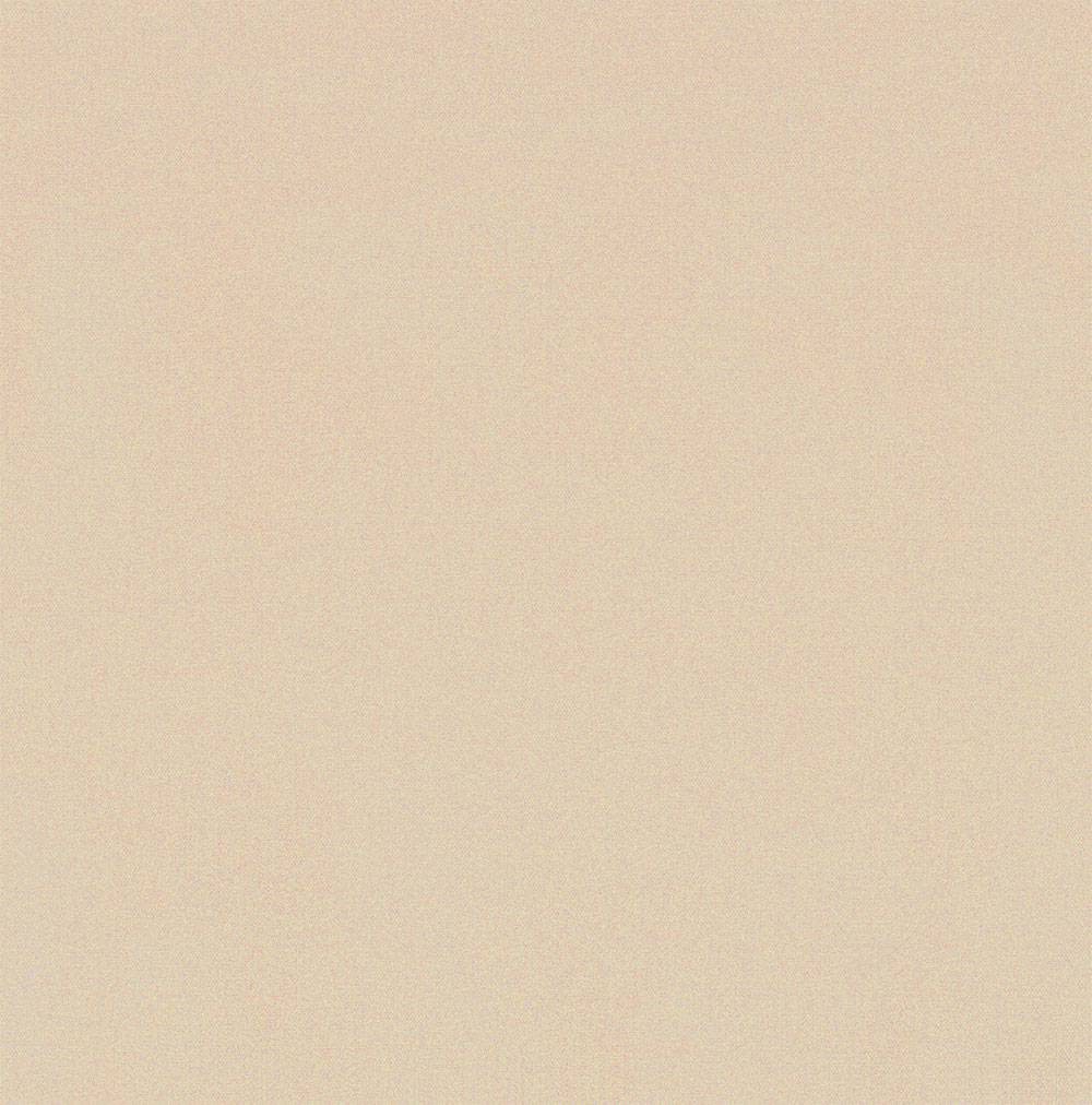 5008-TOAST