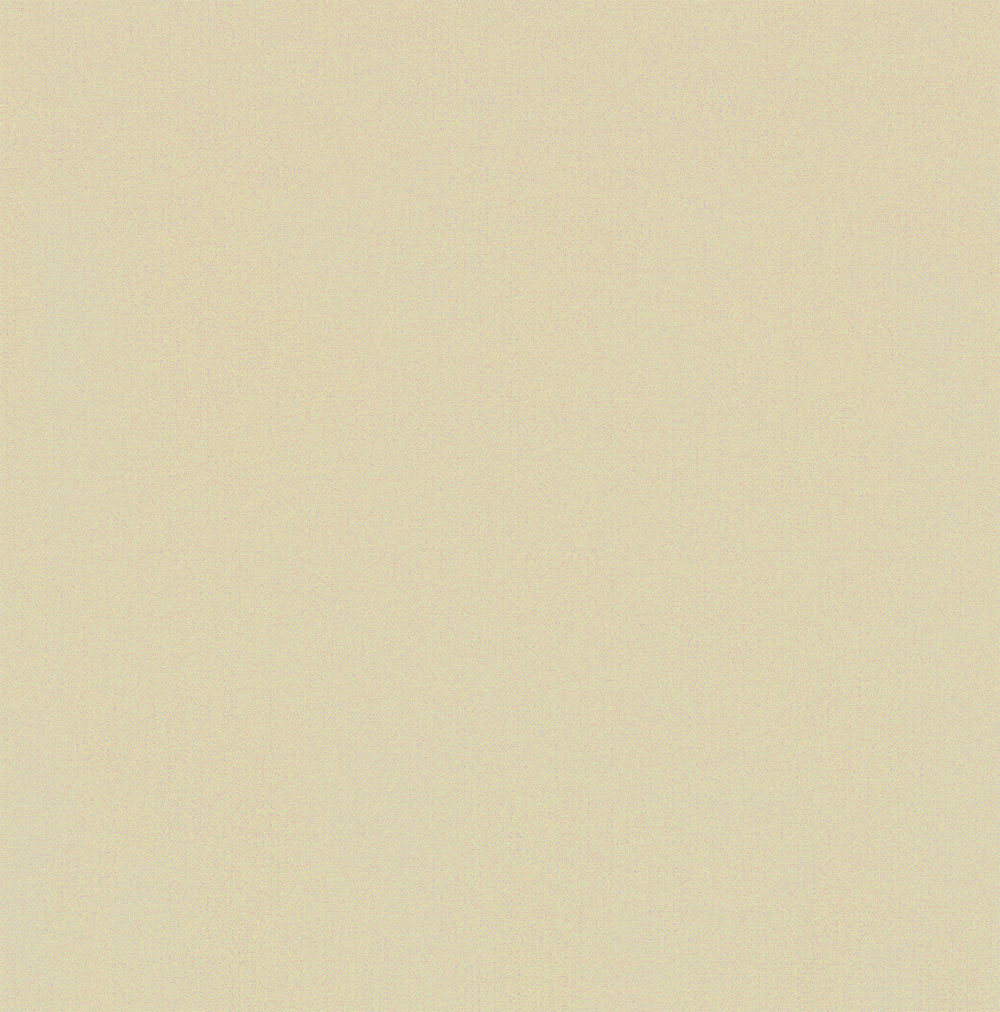 5009-BIRCH