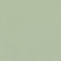 5029-LINT