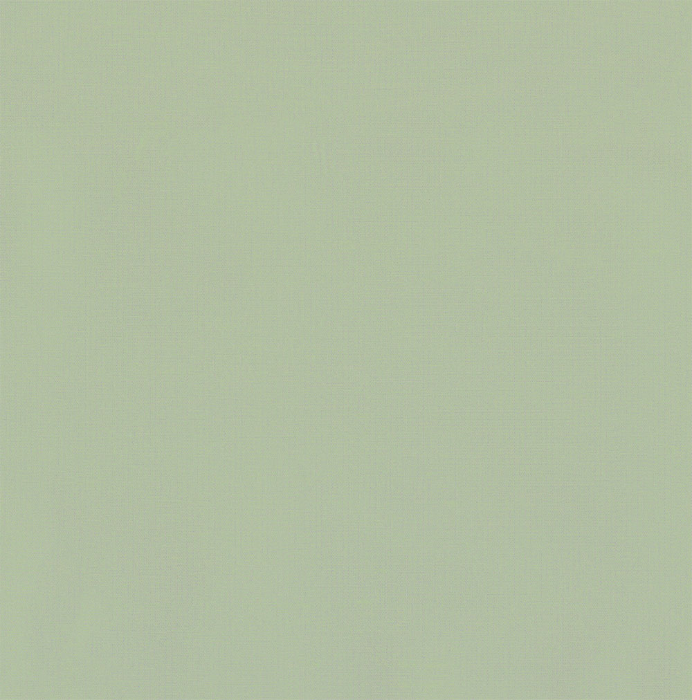 5029-LINT