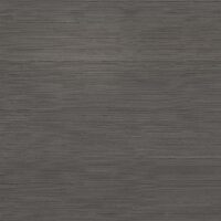 T2-SL-04 JET STREAM