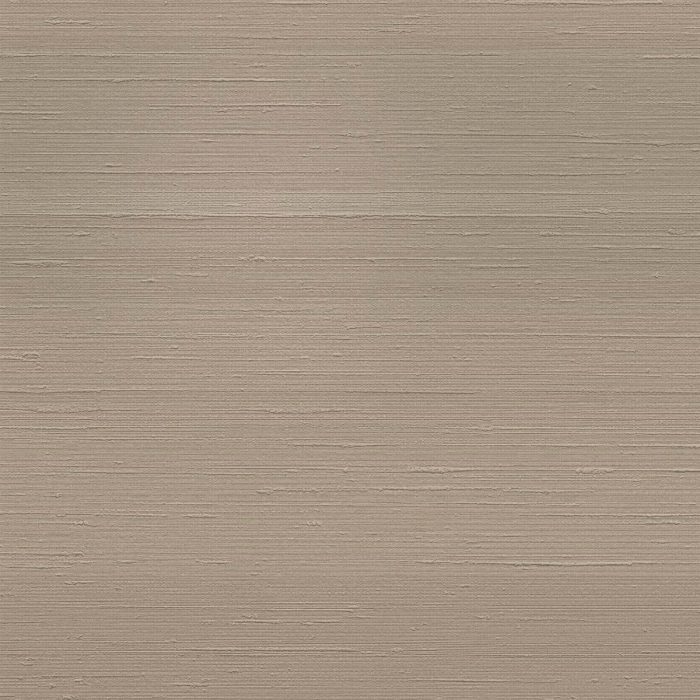 T2-SL-08 ILLUSION
