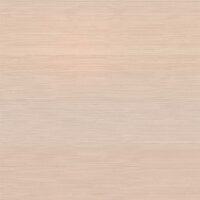 T2-SL-09 DAWN