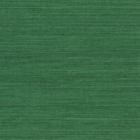 G0177NS1141
