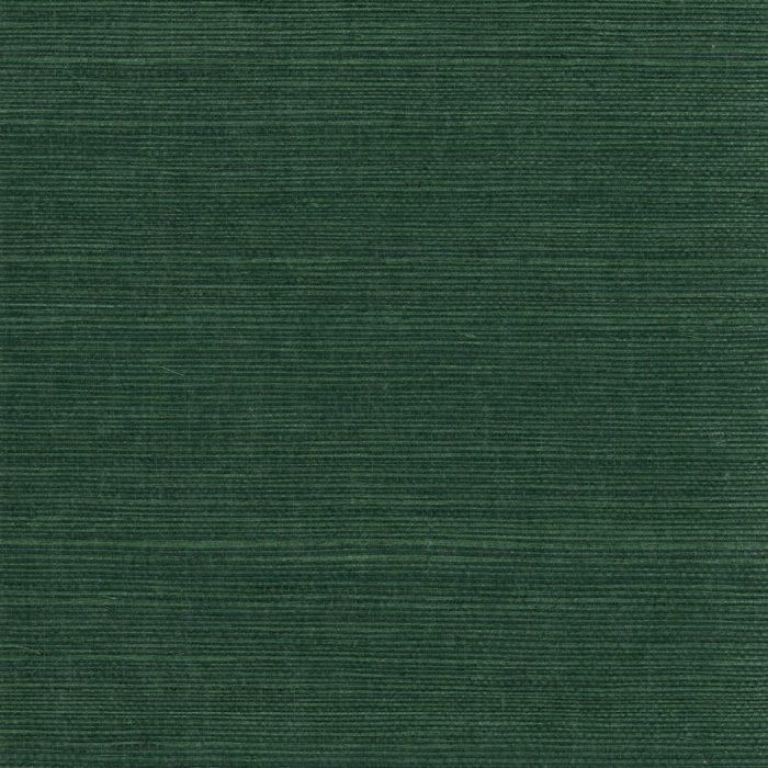 G0177NS1174