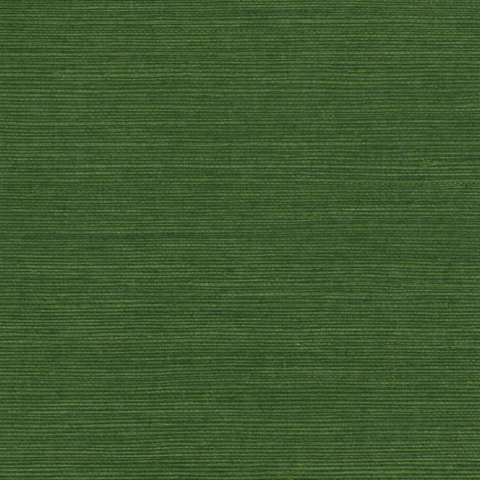 G0177NS7007