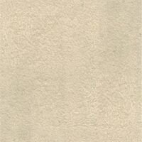 SE801-10 (G0112TF1511)