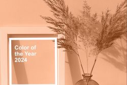 Pantone Colour of The Year 2024- Peach Fuzz