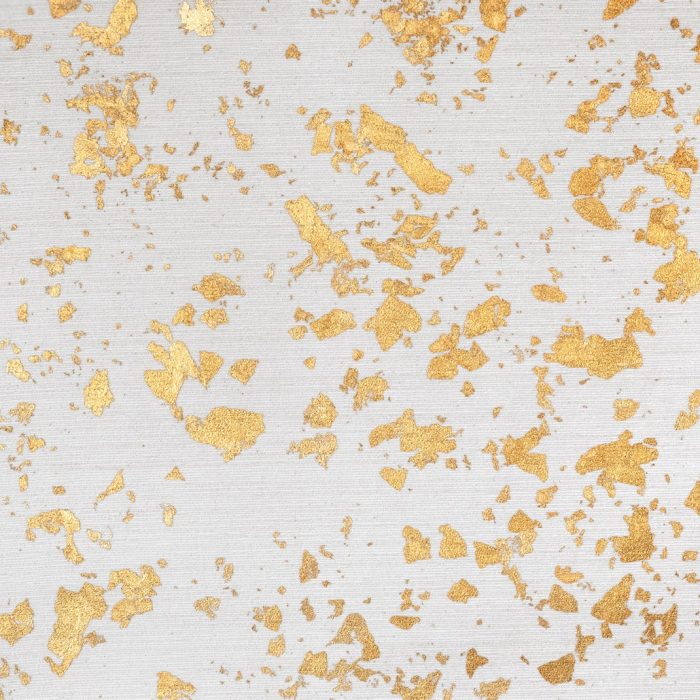 STS001