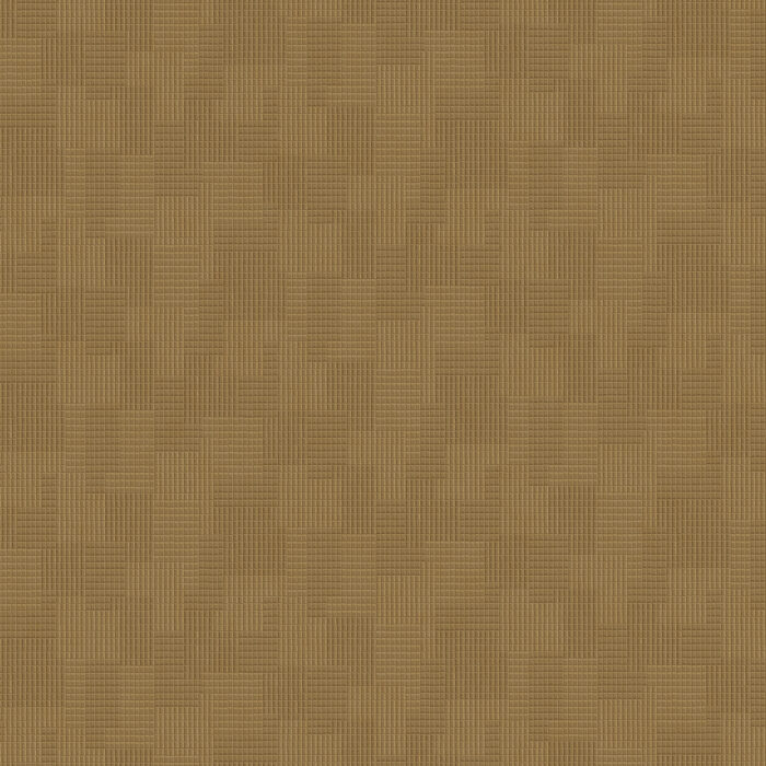 AVF24-794