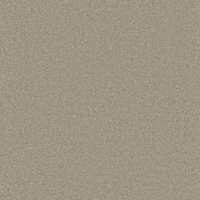 ARC51