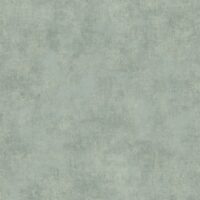 STND 80837358