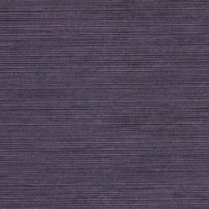 NT46-7667