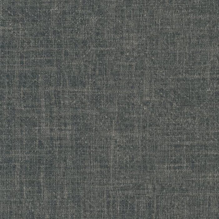 NT50-7717