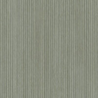 T2-NT-16 MOOR