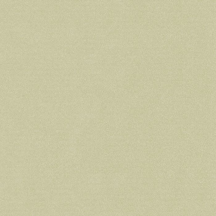 25787