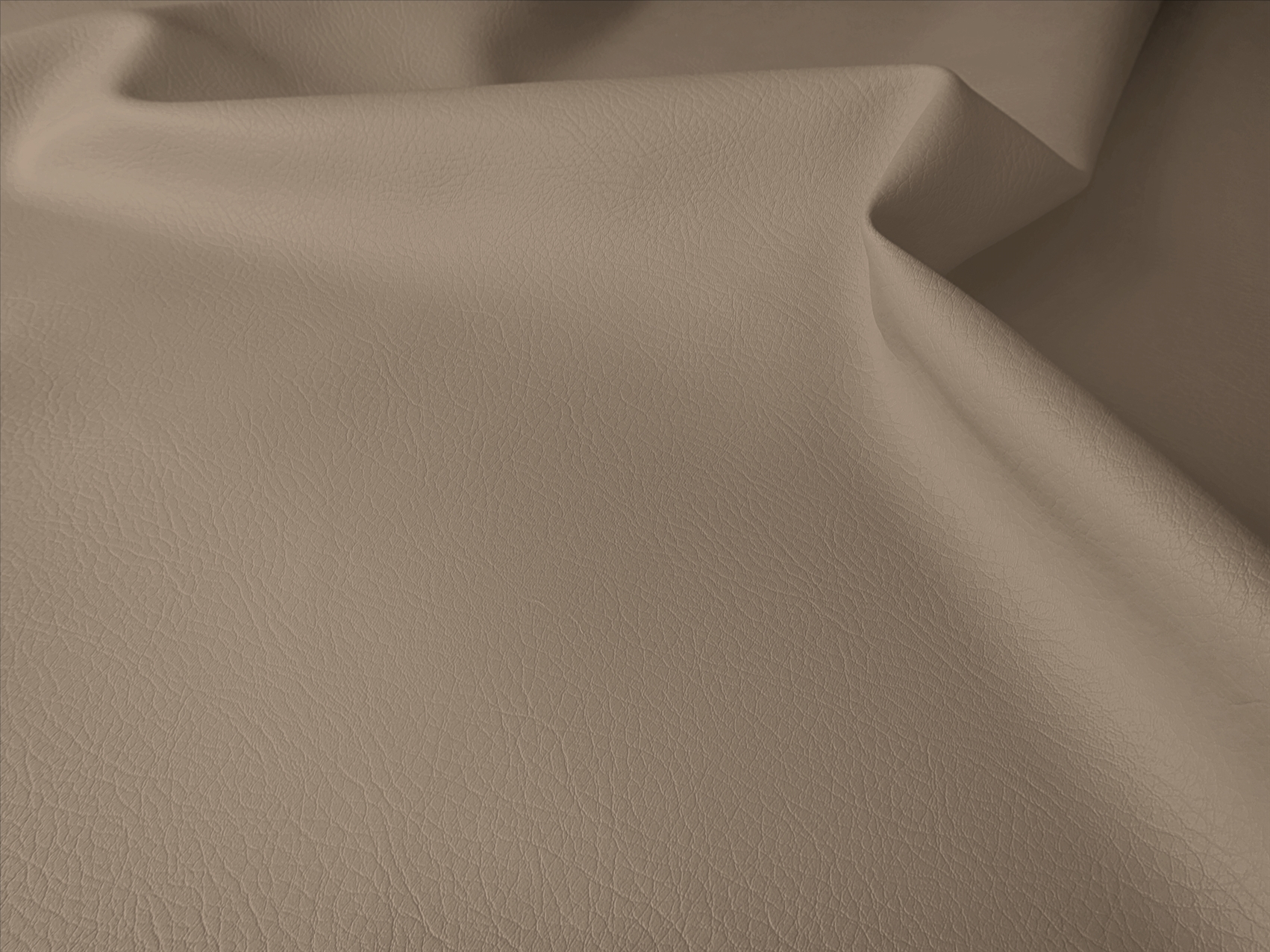 TAN-0005