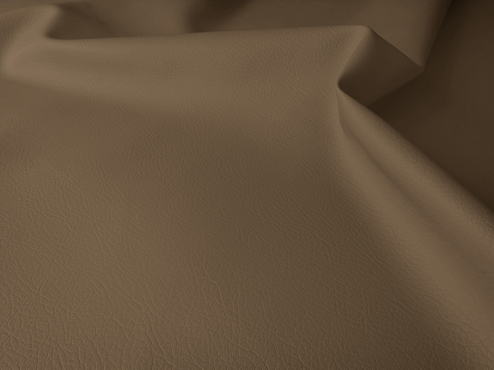 TAN-0006