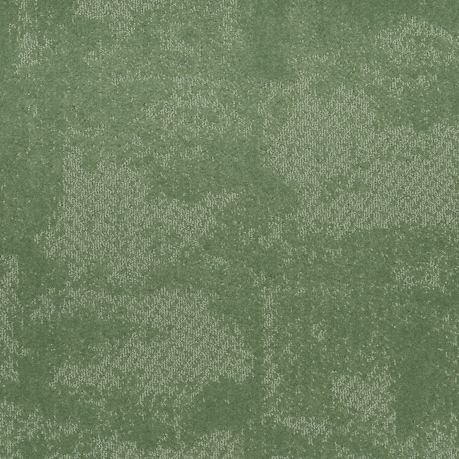 LOUVRE 253 BB