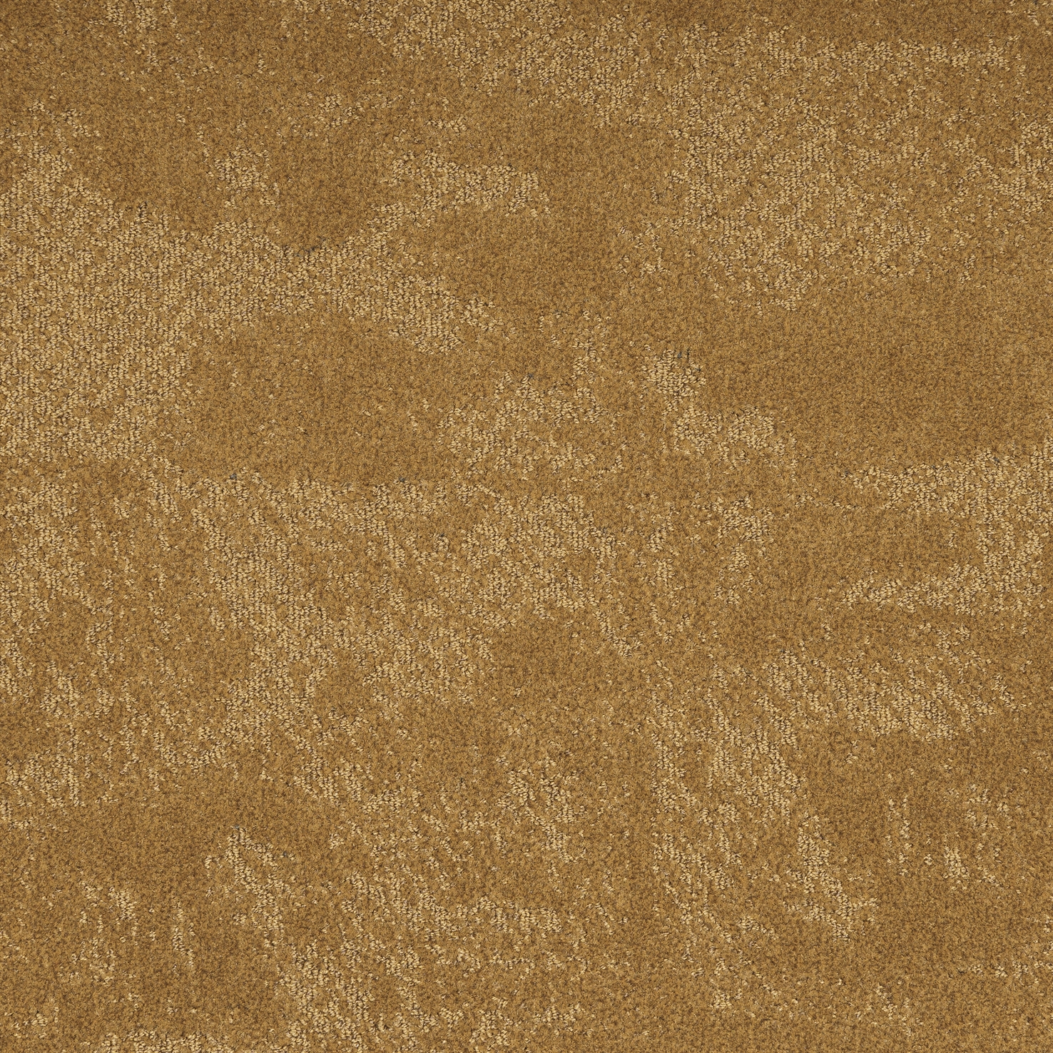 LOUVRE 381 BB