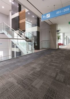 ECOS iD-1200
