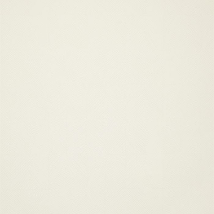 65504