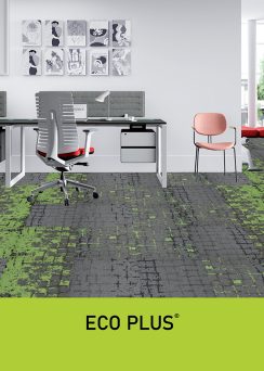 Eco Plus