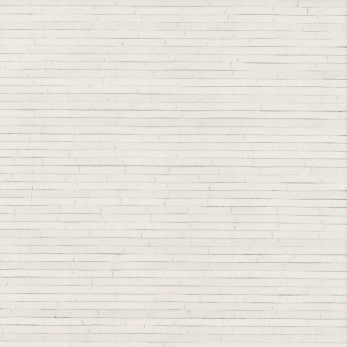 GV0251
