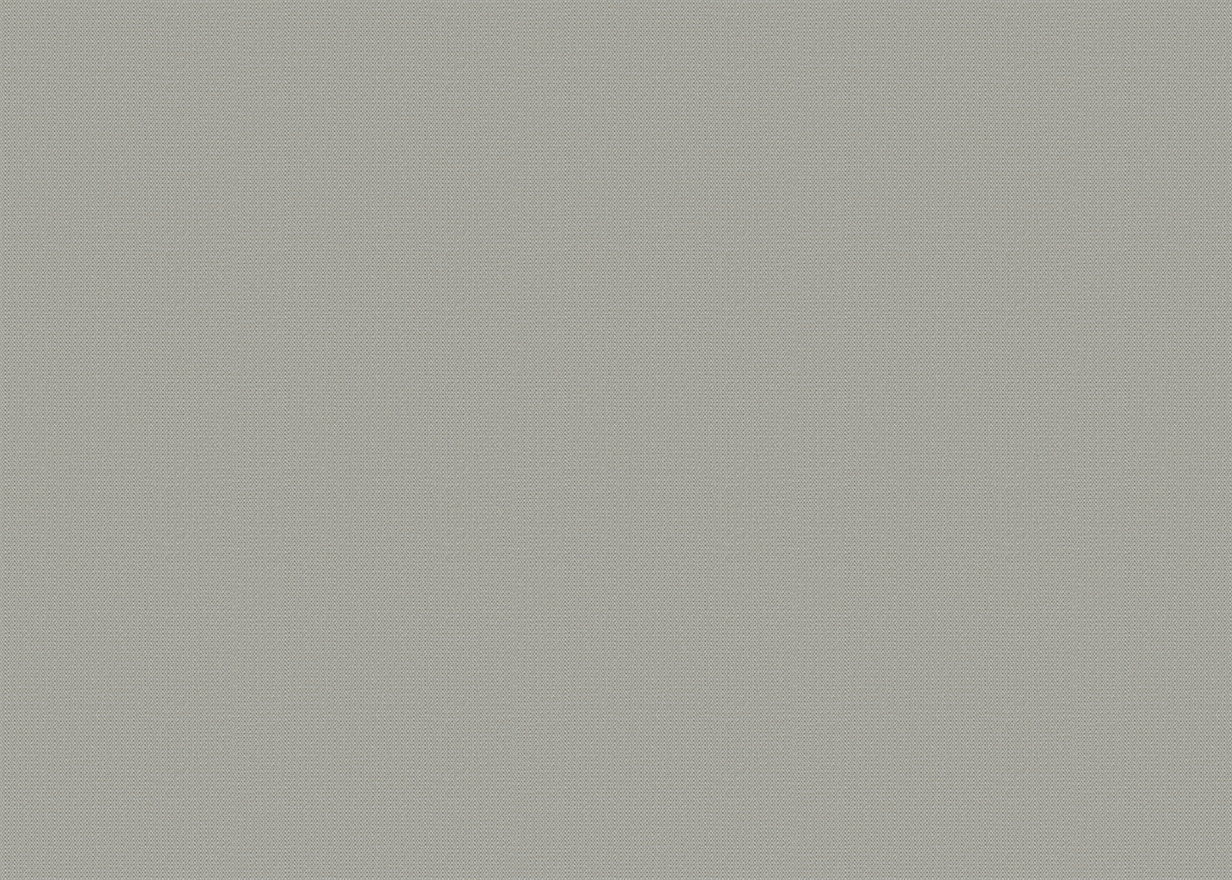 RHINE-GREY