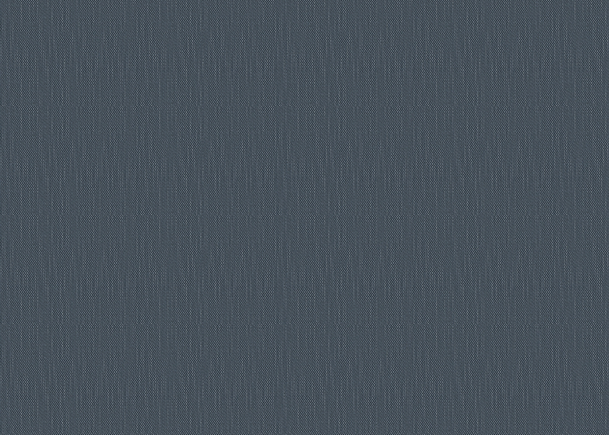 RHINE-INDIGO