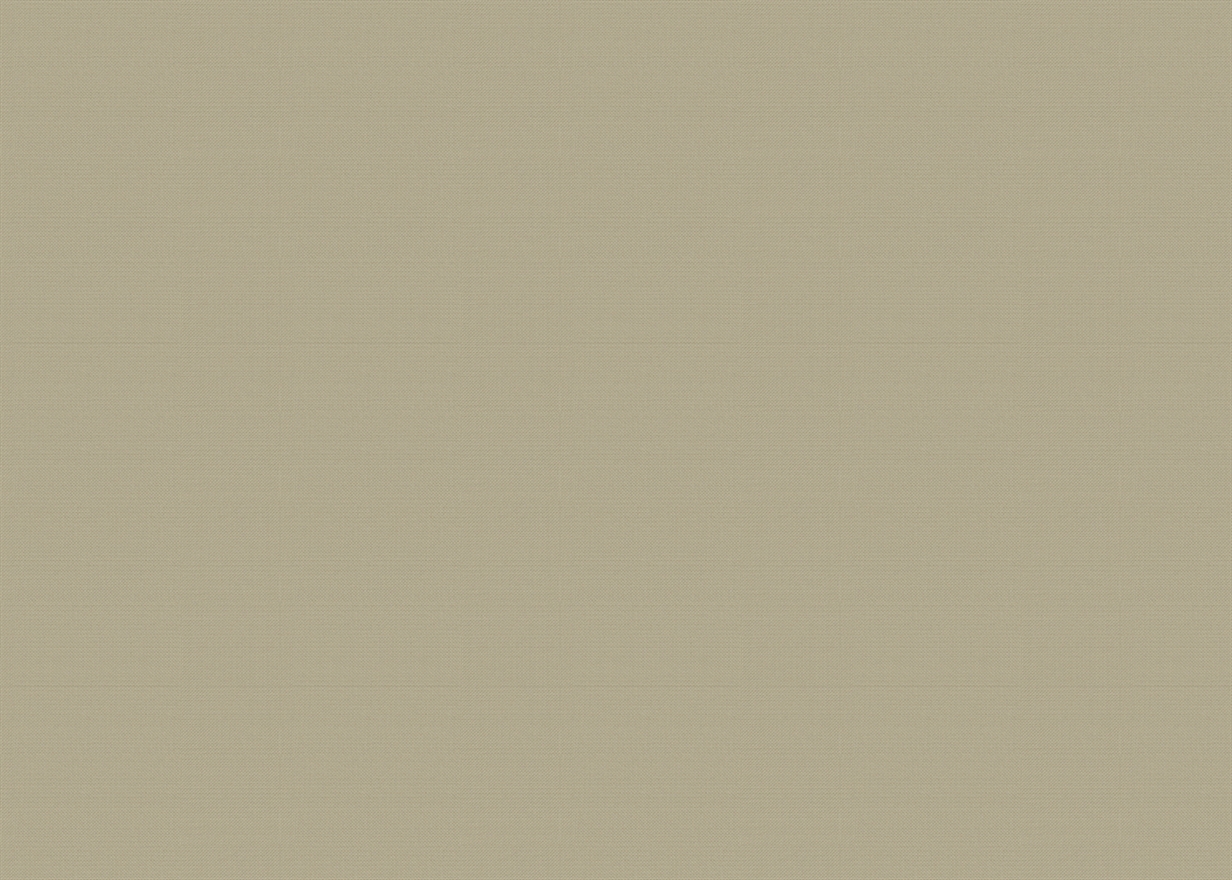 SEINE-OATMEAL