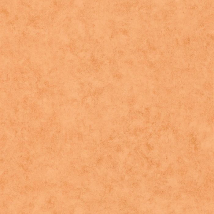CB3101483312