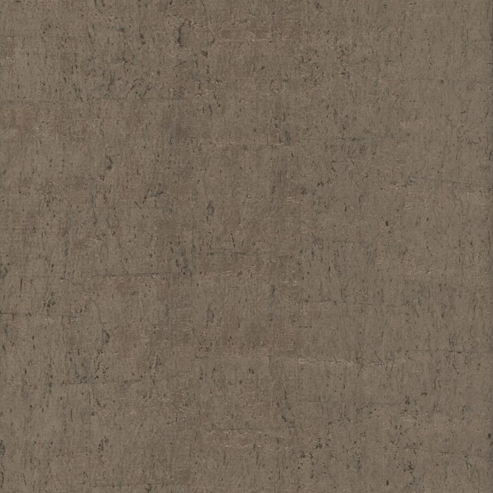 CZ2481(R)