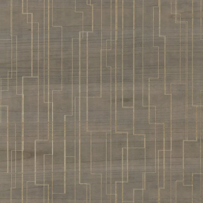 GV0259