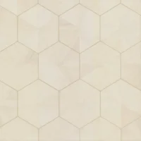 HO2101GV