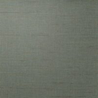 AVF05-256-ASP
