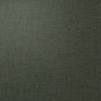 AVF10-225-ASP