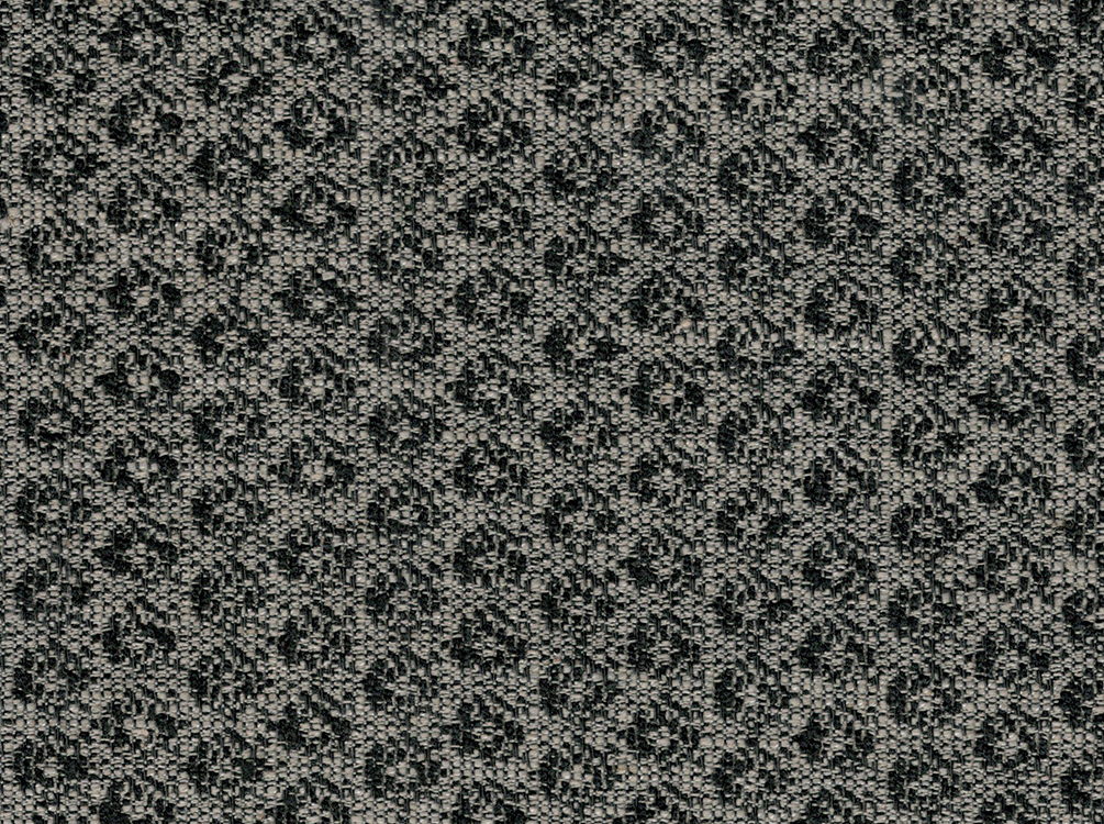 HF240206-3