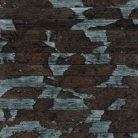 H171NQ8101