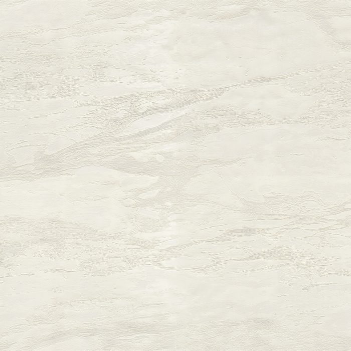 RC21025