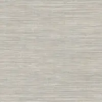 BX5038