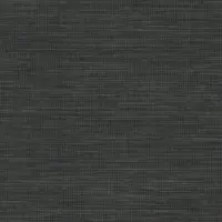 BX5041
