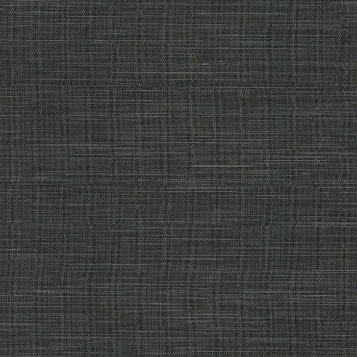 BX5041