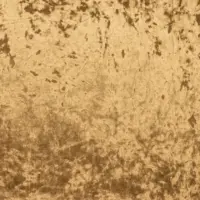 DUK011