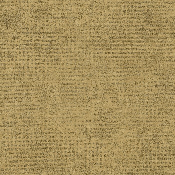 ED2520