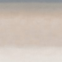 ED4007