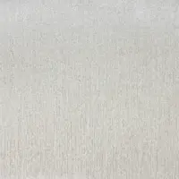STP001