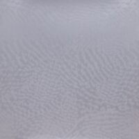 SAT006