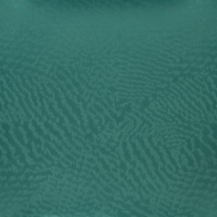 SAT009