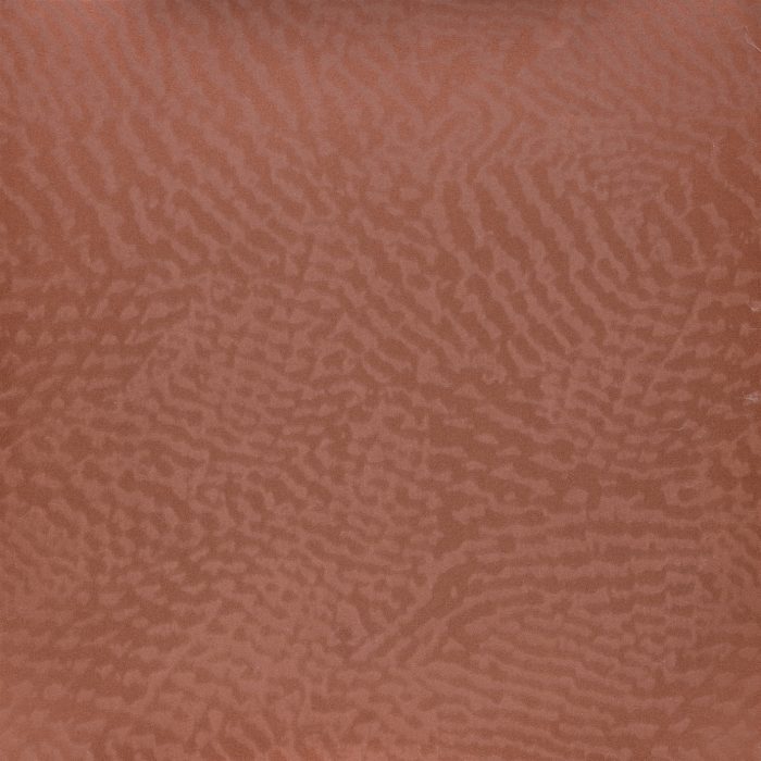 SAT010